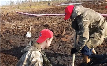 Волонтеры со всей страны помогут сохранить природу Арктики