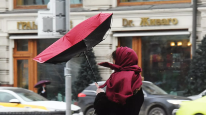 Спасатели предупредили об усилении ветра в Москве