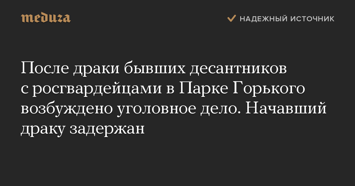 После драки бывших десантников с росгвардейцами в Парке Горького возбуждено уголовное дело. Начавший драку задержан