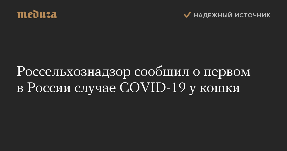 Россельхознадзор сообщил о первом в России случае COVID-19 у кошки