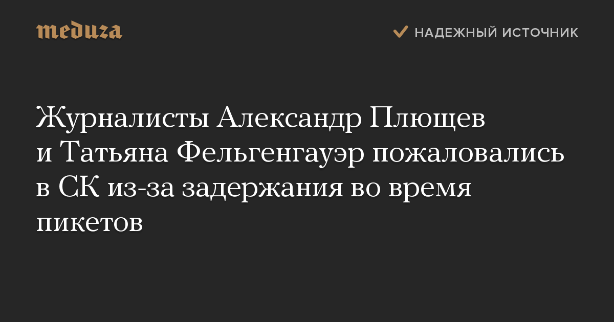 Журналисты Александр Плющев и Татьяна Фельгенгауэр пожаловались в СК из-за задержания во время пикетов