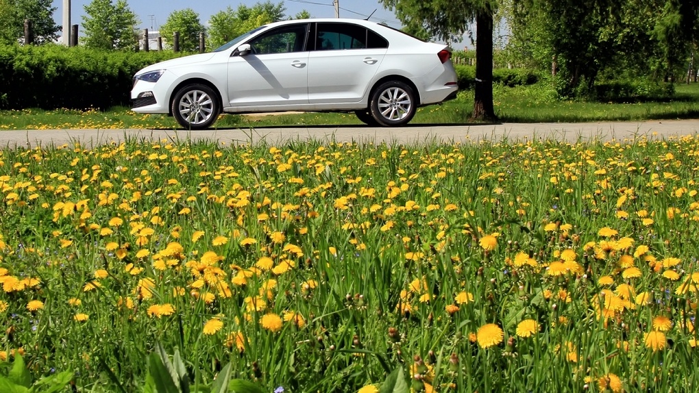 Он вам не такси. Первая встреча с новым Skoda Rapid 2020