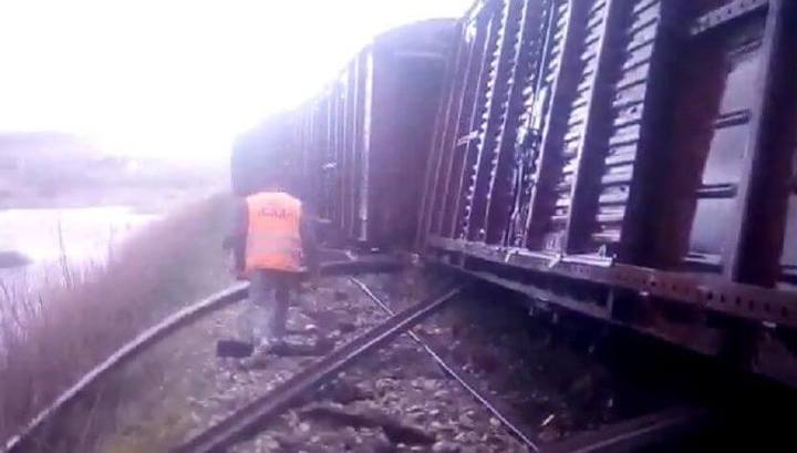 На железнодорожном перегоне в Приморье товарный поезд сошел с рельсов