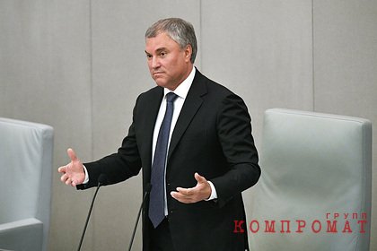 Володин заподозрил иностранные государства в причастности к ситуации с Навальным