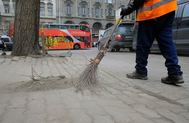 Два района Петербурга остались без уборки