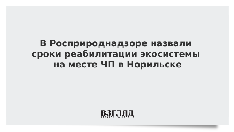 В Росприроднадзоре назвали сроки реабилитации экосистемы на месте ЧП в Норильске