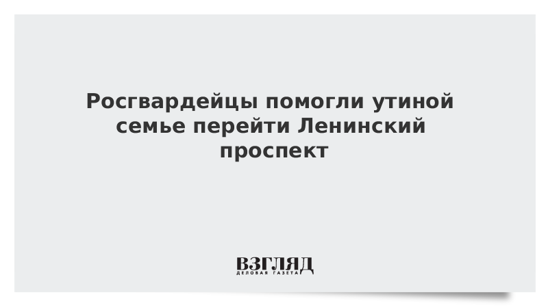 Росгвардейцы помогли утиной семье перейти Ленинский проспект