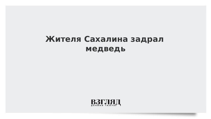 Жителя Сахалина задрал медведь